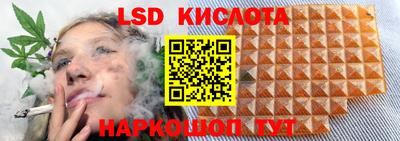 прущие грибы Чебаркуль
