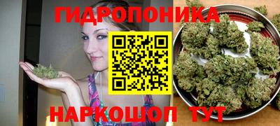 прущие грибы Чебаркуль