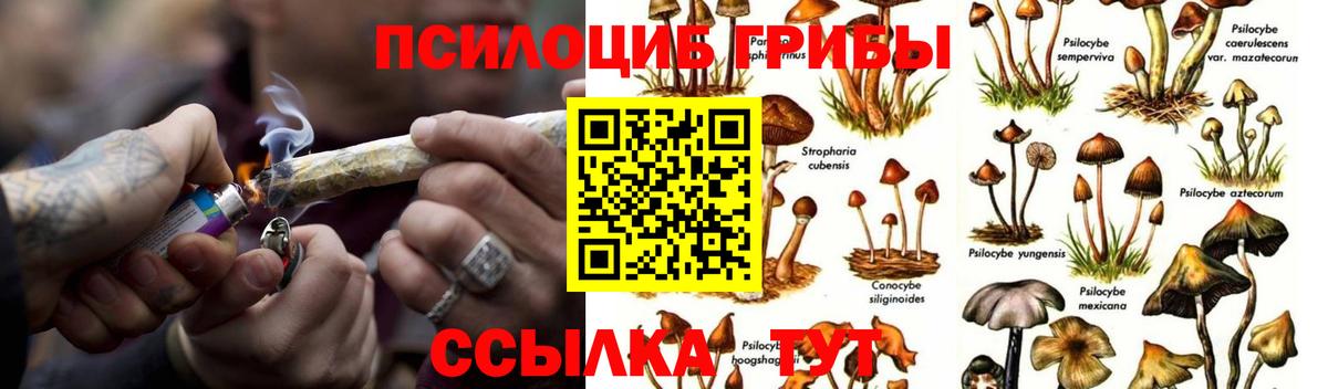 Псилоцибиновые грибы Cubensis  Вход с VPN  Галлюциногенные грибы Cubensis  Лысьва 